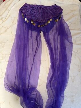 Purple Sheer Layered Belly Dance Costume with Coin Accent